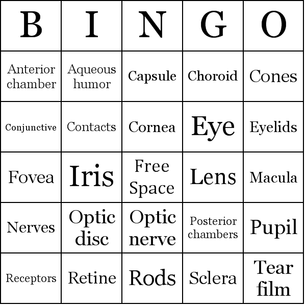Parts of the Eye Bingo Card Preview
